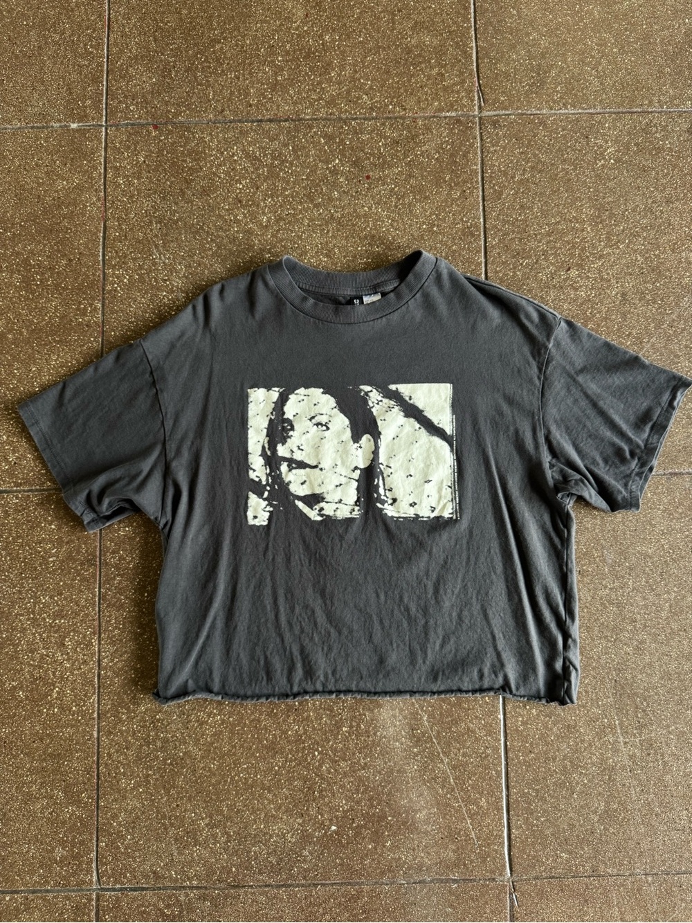 Cropped Graphic Tee with Light Print